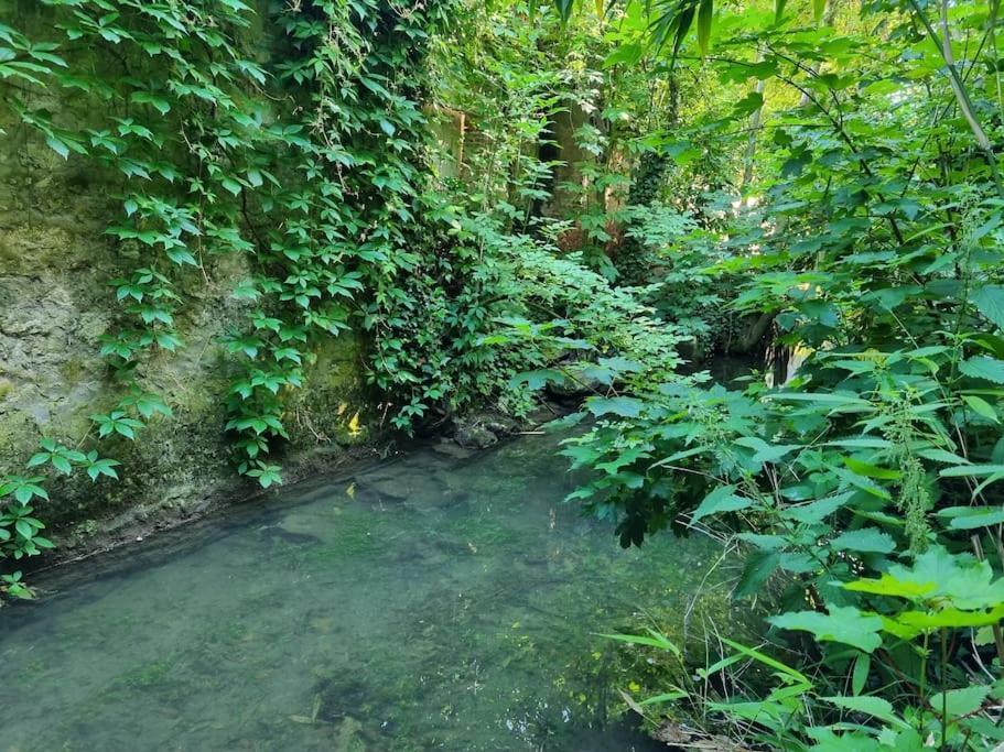 Elegance Provinoise Aux Pieds Des Remparts Classe بروفين المظهر الخارجي الصورة
