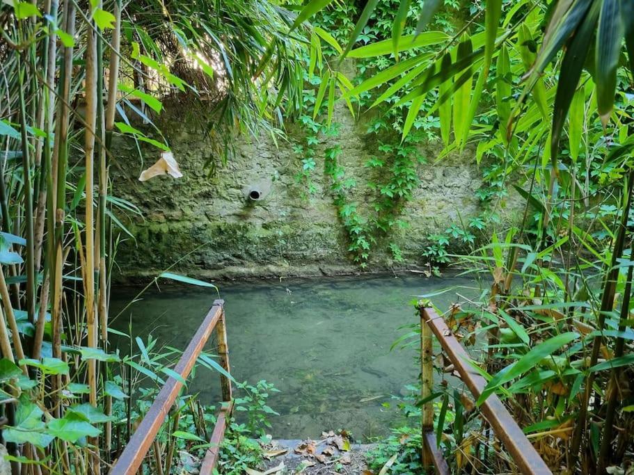 Elegance Provinoise Aux Pieds Des Remparts Classe بروفين المظهر الخارجي الصورة